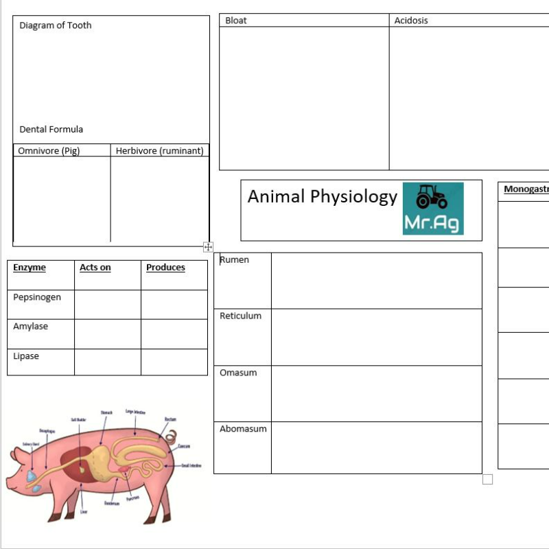 Animal Physiology Mindmap