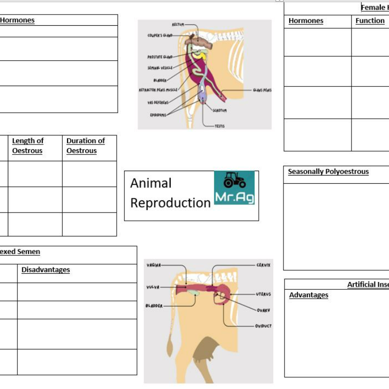 Animal Reproduction Mindmap