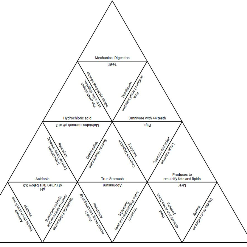 Animal Reproduction Tarsia