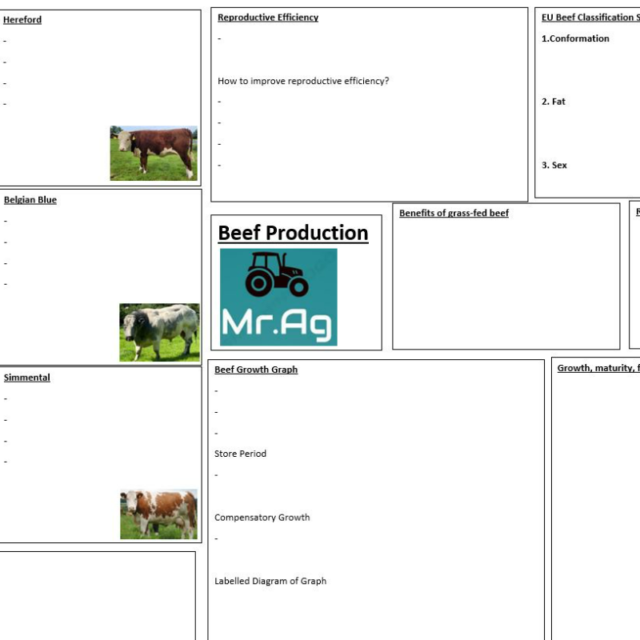 Beef Production Roll it Recap – Mr. Ag