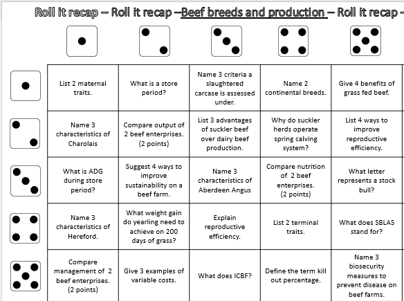 Beef Production Roll it Recap – Mr. Ag