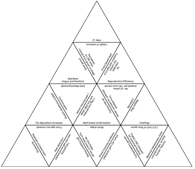 Beef Tarsia