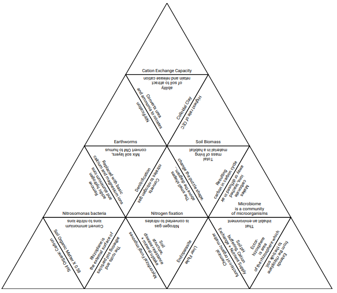 Bio Soil Tarsia