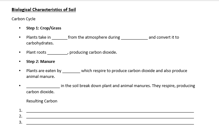 Carbon Cycle