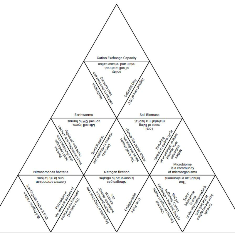 Chem Soil Tarsia