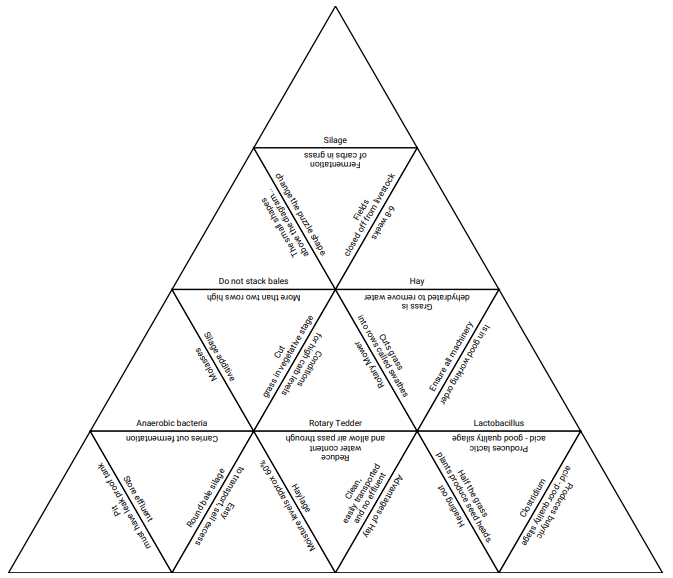 Hay tarsia