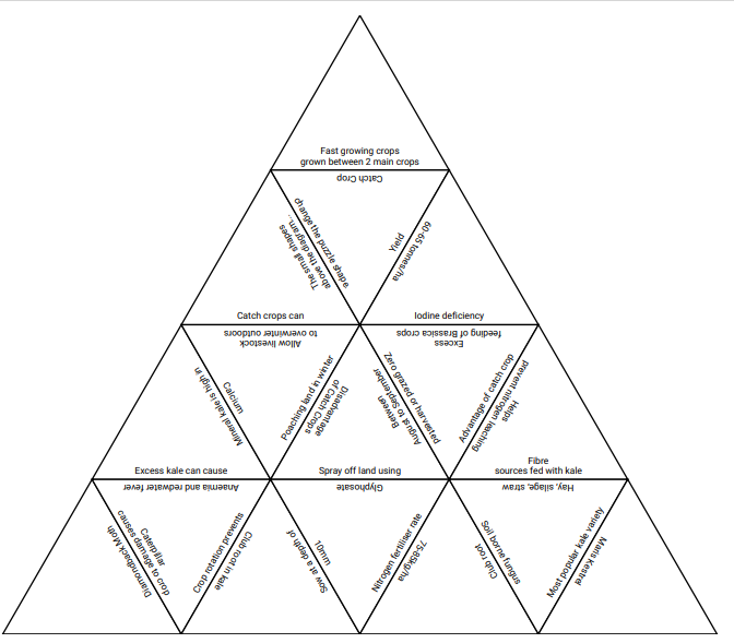 Kale Tarsia