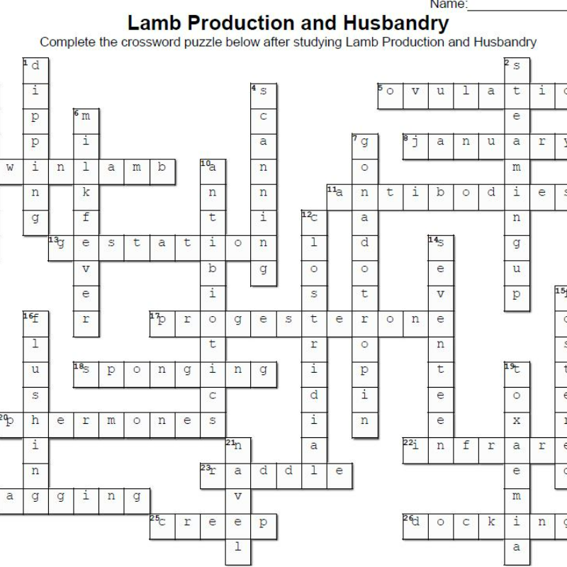 Lamb Crossword