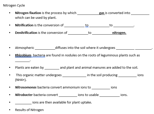 Nitrogen Cycle