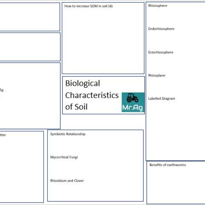 Soil Bio Mindmap