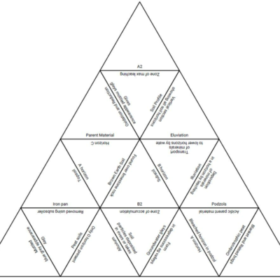 Soil Formation Tarsia Puzzle – Mr. Ag