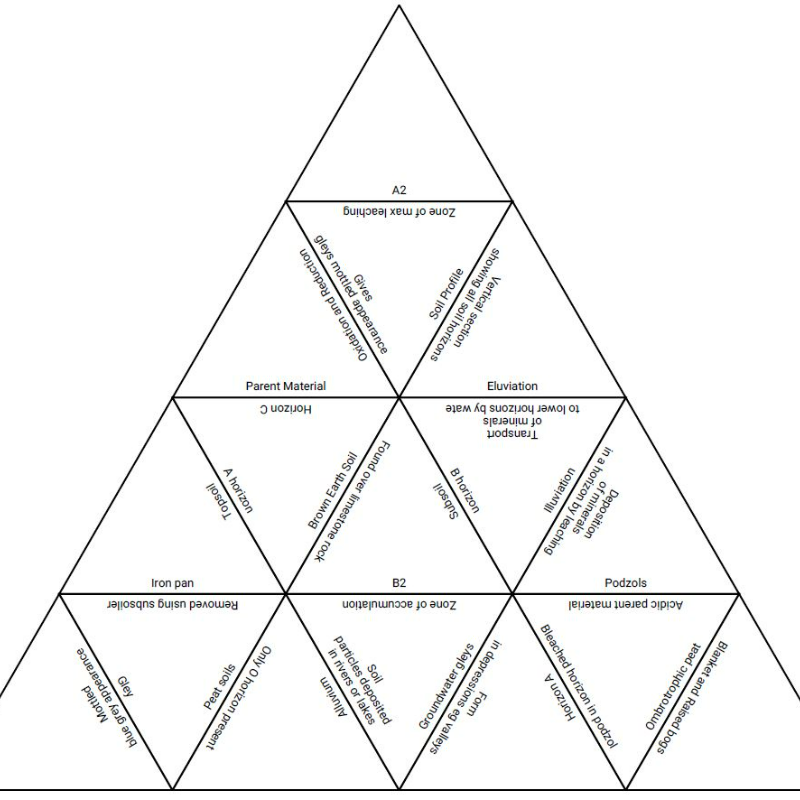 Soil Formation Tarsia