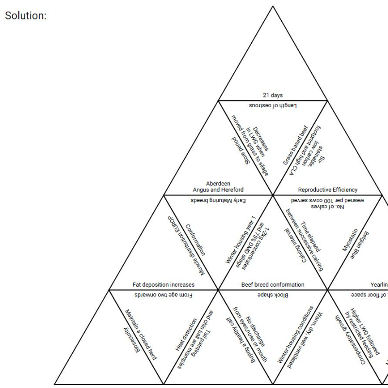 Tarsia Beef