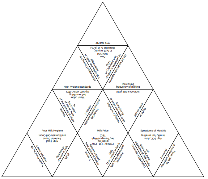 dairy tarsia1