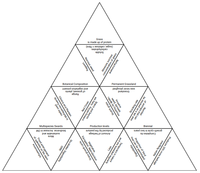 igrass tarsia