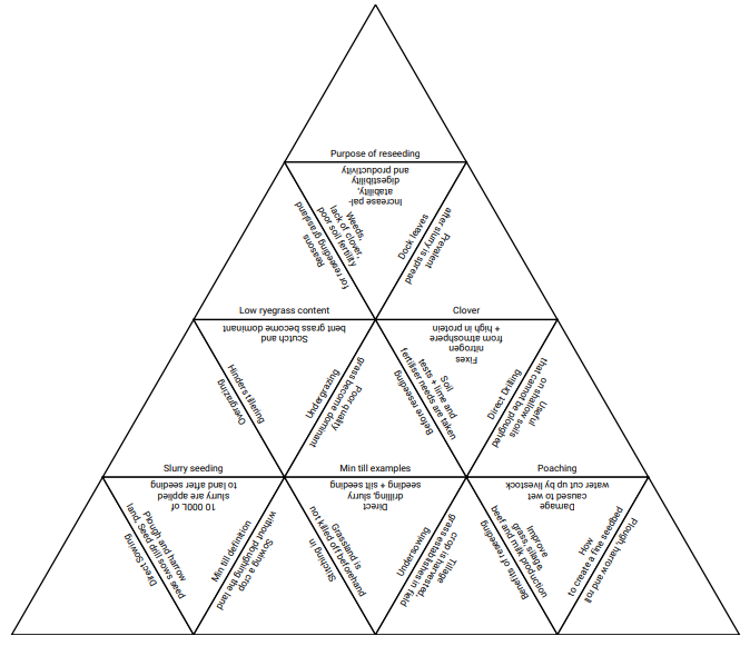 reseeding tarsia