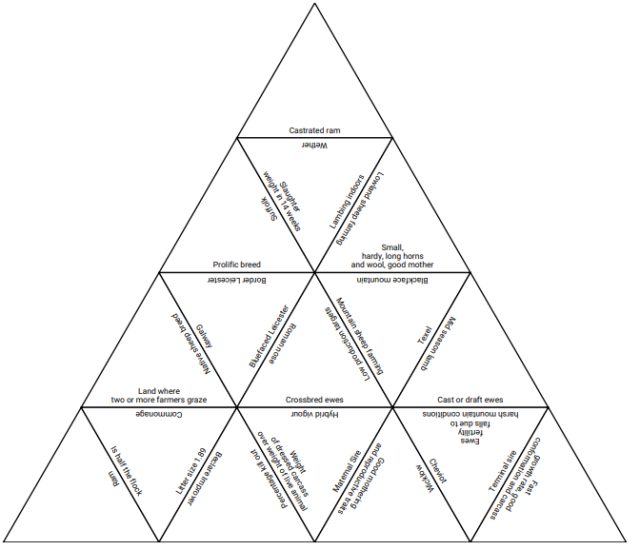 Lamb Production Tarsia Puzzle – Mr. Ag