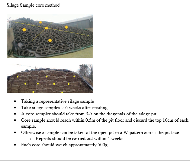 silage3