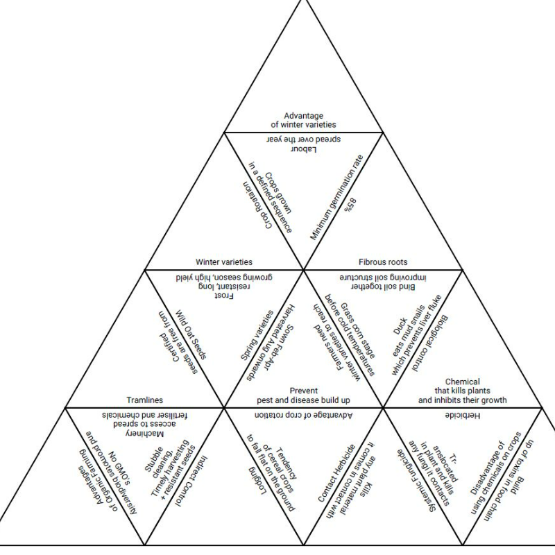 Crop Principles Tarsia