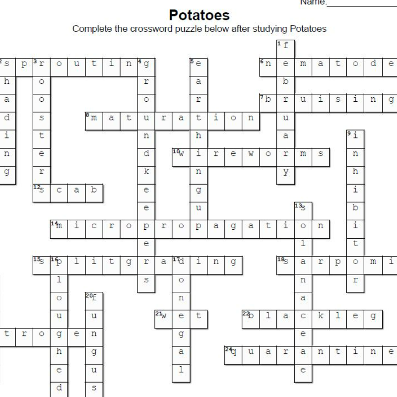 Potato Crossword