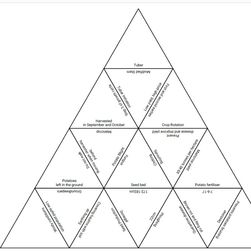 Potato Tarsia